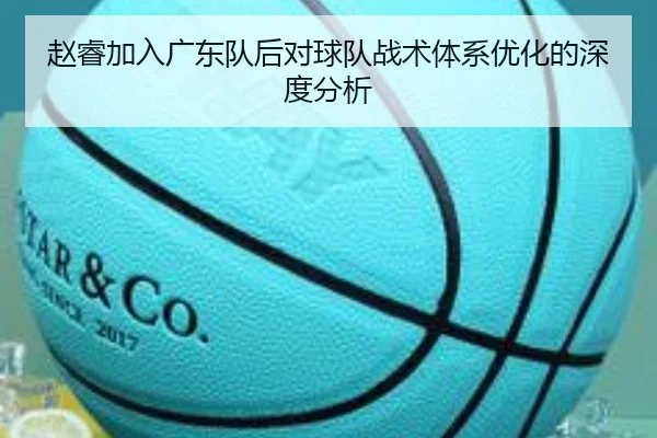 赵睿加入广东队后对球队战术体系优化的深度分析